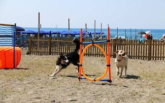 Spiaggia Lido Fido a Chiavari