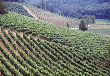 Il Piemonte la regione più virtuosa