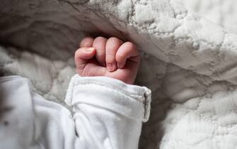 The hand of a newborn baby.