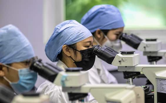 New Coronavirus in China: Bat-to-Human Transmission