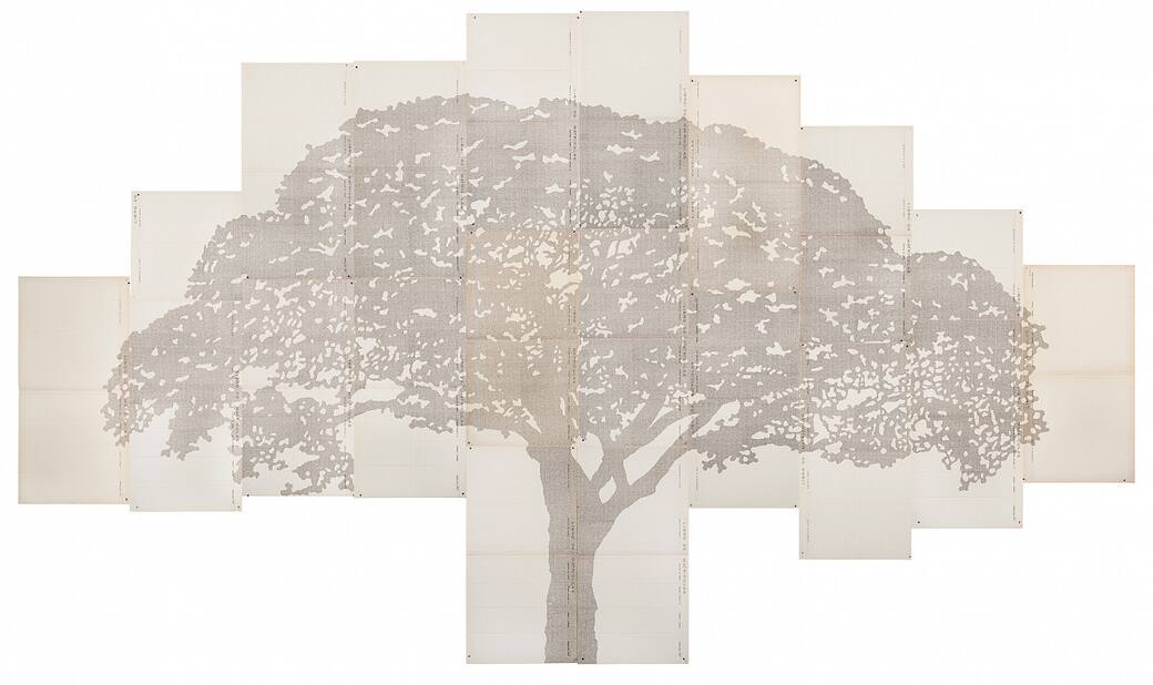 Johanna Calle: Perimetros (Ceiba), 2013/14, Typescript on old notarial paper (The ALBERTINA Museum, Vienna | Courtesy Galerie Krinzinger and Johanna Calle.) Photo: J.P. Gutierrez. Copyright Archivos Perez & Calle