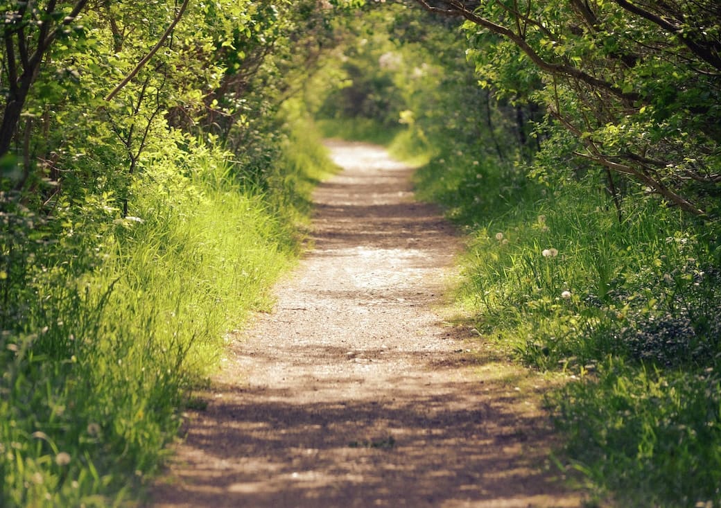 Foto di Megan Lee su Unsplash