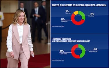 sondaggi politici