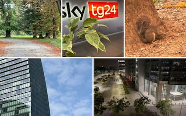 Le nostre foto e i nostri video