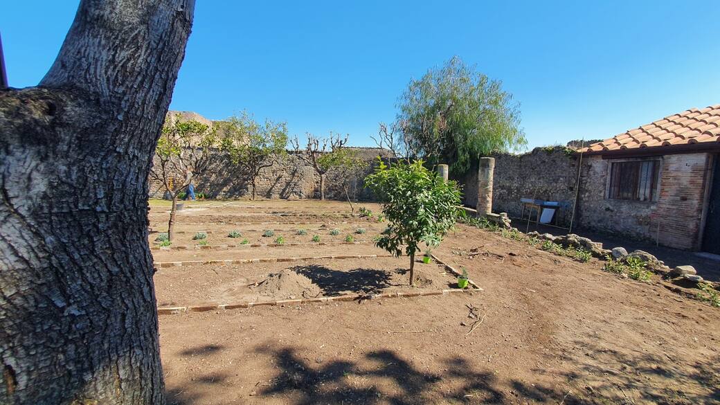 Vivaio_Casa_di_Pansa._Immagine_su_gentile_concessione_del_Parco_Archeologico_di_Pompei.jpg