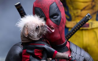 (L-R): Dogpool and Ryan Reynolds as Deadpool/Wade Wilson and Hugh Jackman as Wolverine/Logan in 20th Century Studios/Marvel Studios' DEADPOOL & WOLVERINE. Photo by Jay Maidment. © 2024 20th Century Studios / © and ™ 2024 MARVEL.