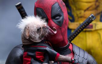 Deadpool & Wolverine film curiosità