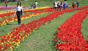 TuliPark, l'iniziativa che ha portato a Roma la cultura dei tulipani presso Villa De Santis. Roma, 26 marzo 2019. ANSA/CLAUDIO PERI