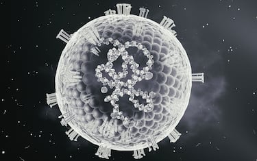 Measles virus, cut-away illustration. This virus, from the Morbillivirus group of viruses, consists of an RNA (ribonucleic acid) core surrounded by an envelope studded with surface proteins haemagglutinin-neuraminidase and fusion protein, which are used to attach to and penetrate a host cell. Measles is a highly infectious rash with a fever. It mainly affects children.