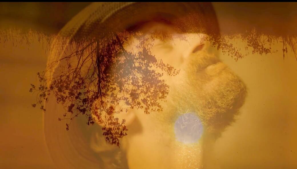 Vincent_in_sunlight_©_Exhibition_on_Screen.jpeg