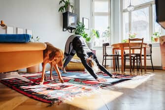 A single mom doing different yoga poses in her living room at home with the family dog.