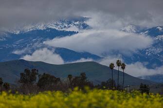 PORTERVILLE, CA - MARCH 10: Storms clouds hover over the snow covered Sierra Nevada Mountains, beyond a field of flowers on March 10, 2023 near Porterville, California. Another in a series of atmospheric river storms from the Pacific Ocean has brought a warm rain to the region, which is falling on top of, and melting, large areas of snow in the Sierra Nevada Mountains, increasing the risk of floods at lower elevations. This years destructive and deadly storms have produced heavy rains and a near-record snowpack in the Sierras, which provides water for millions of Californians. As a result of one of Californias wettest winters on record, most of the state has gotten relief from years of drought. (Photo by David McNew/Getty Images)
