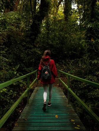 Monteverde,Puntarenas/Costa Rica-24 January,2019:young traveler hiking in Monteverde Cloud forest with a practical Fjallraven Kanken backpak. Swedish