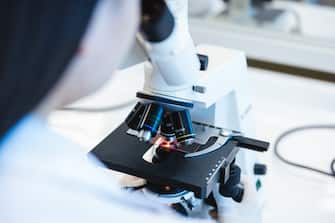 Laboratory Expertise: Rear view of a Young Female Medical Technologist Engaged in Microscopic Analysis of Gram Stained Sample. Science and Biotechnology concept. Close up