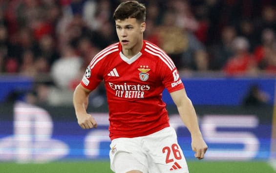 Il Benfica riscatta Dahl: tutti i colpi all'estero