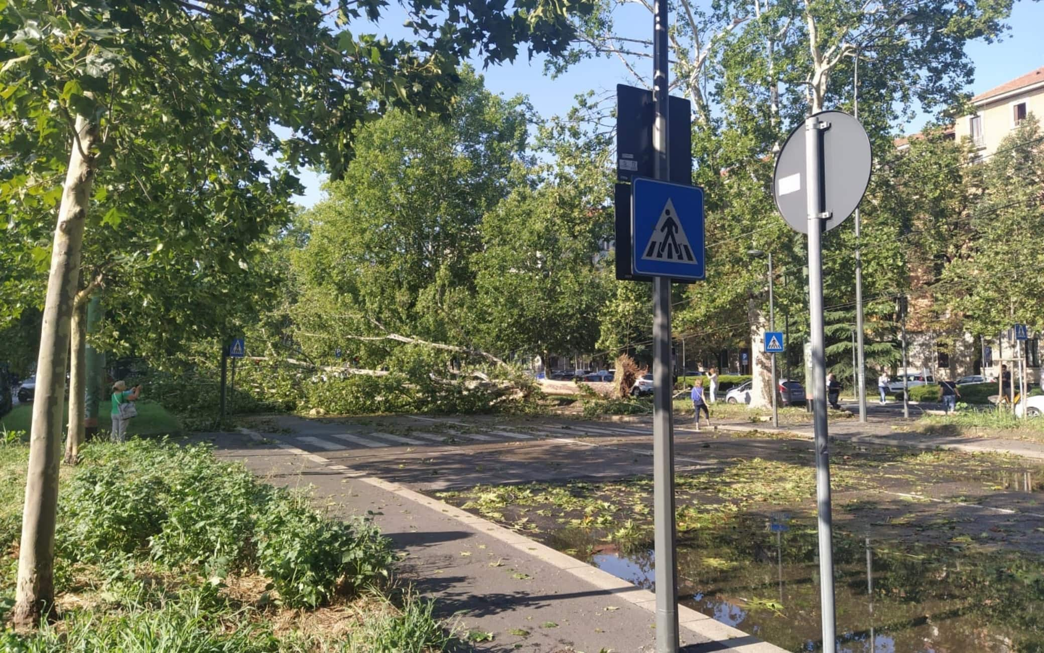 danni e alberi caduti a Milano