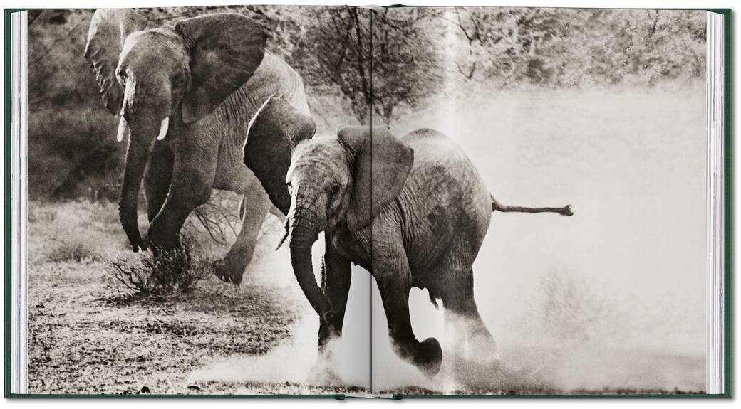 Courtesy Taschen