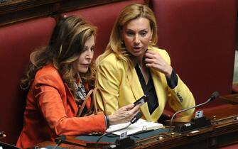 Elezioni