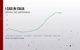 Grafiche coronavirus