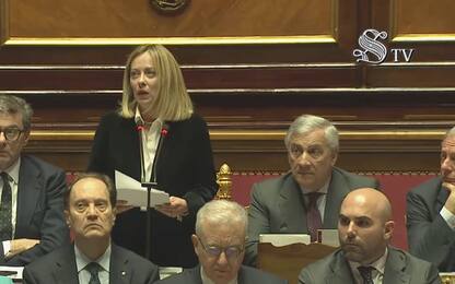 Giorgia Meloni