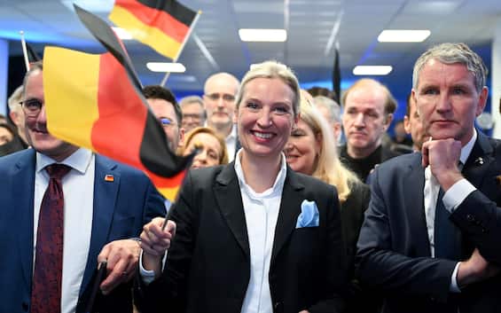 Germania, i Servizi tedeschi congelano la classificazione di Afd come "estrema destra"