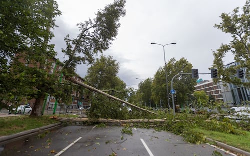 Foto Stefano Porta/LaPresse
24-07-2023 Milano, Italia - Albero caduto sulla carreggiata di Viale Fulvio Testi per il forte vento e il violento temporale, traffico bloccato

July 24, 2023 Milan, Italy - News - Tree fallen on Viale Fulvio Testi roadway due to strong wind and violent storm, traffic blocked