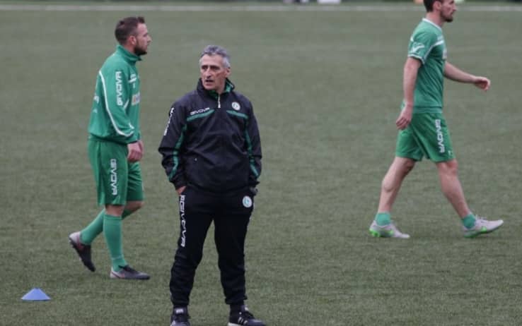 Rizzato avellino hot sale