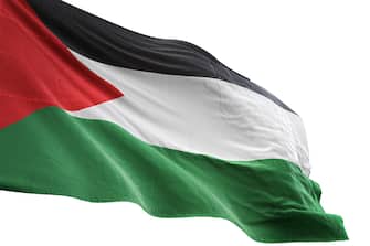 Palestine flag close-up waving isolated white background realistic 3d illustration