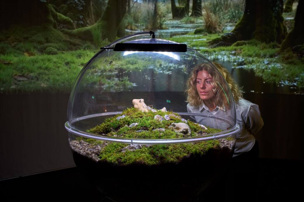 Danish Architecture Center, Age of Nature, 2025. Photo Ander Sune Berg