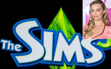 sims-g