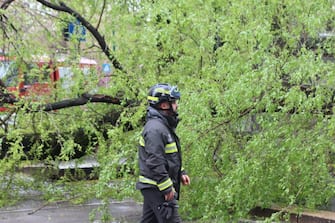 A causa del maltempo un albero e' caduto sulla fermata della linea 14, per fortuna senza causare feriti, a Milano, 31 marzo 2024. Il traffico e' stato deviato.
ANSA/ PAOLO SALMOIRAGO