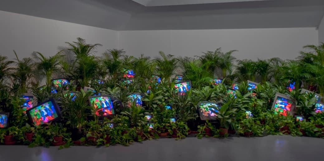 TV-Garden-1974-1977_installation-view.jpg