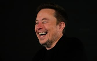 04_celebrity_nomi_cercati_google_musk_ipa - 1