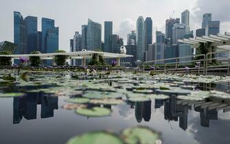 epa09164901 The skyline of the financial district is reflected in a lotus pond in Singapore, 28 April 2021.  The Monetary Authority of Singapore has forecasted a recovery of the country's economy, reporting up to a six per cent growth in its GDP.  EPA/WALLACE WOON