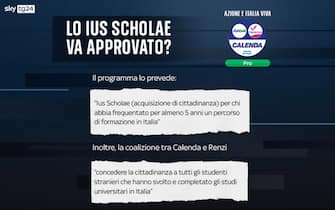 Elezioni programmi partiti ius scholae