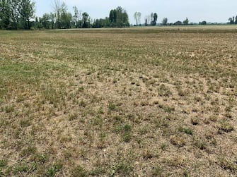 Un terreno secco a causa della siccità