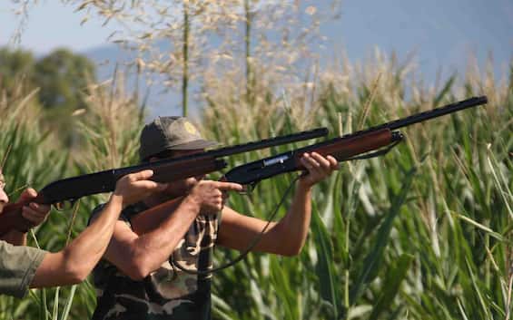 caccia da domani riparte in anticipo la stagione venatoria proteste degli animalisti