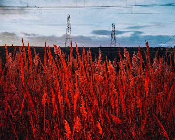 Courtesy Lorenzo Gonnelli. Acciaio, 2024. FIUTO Art Space, Ripatransone (AP)