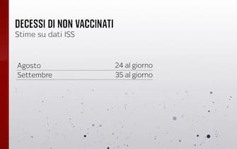decessi di non vaccinati
