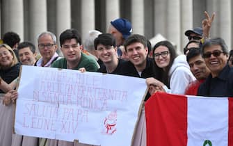 Faithful wait for Pope Leo XIV who will lead the Regina Coeli prayer from the central loggia of Saint Peter's Basilica at the Vatican City, 11 May 2025.
ANSA/ALESSANDRO DI MEO
