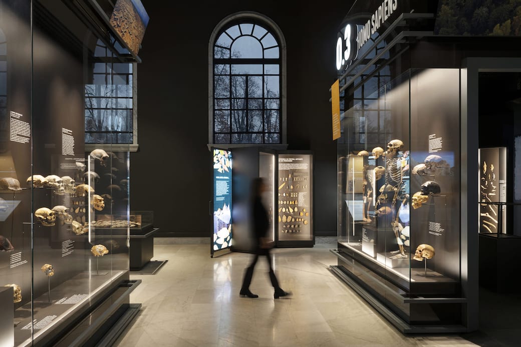 06_MuseoStoriaNaturaleMilano_phAndreaMartiradonna_(1)_(1).jpg