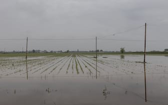 RAVENNA, ITALY - MAY 20: Flood hits the countryside, outside Ravenna, in Emilia Romagna region of Italy on May 20, 2023. (Photo by Andrea Carrubba/Anadolu Agency via Getty Images)
