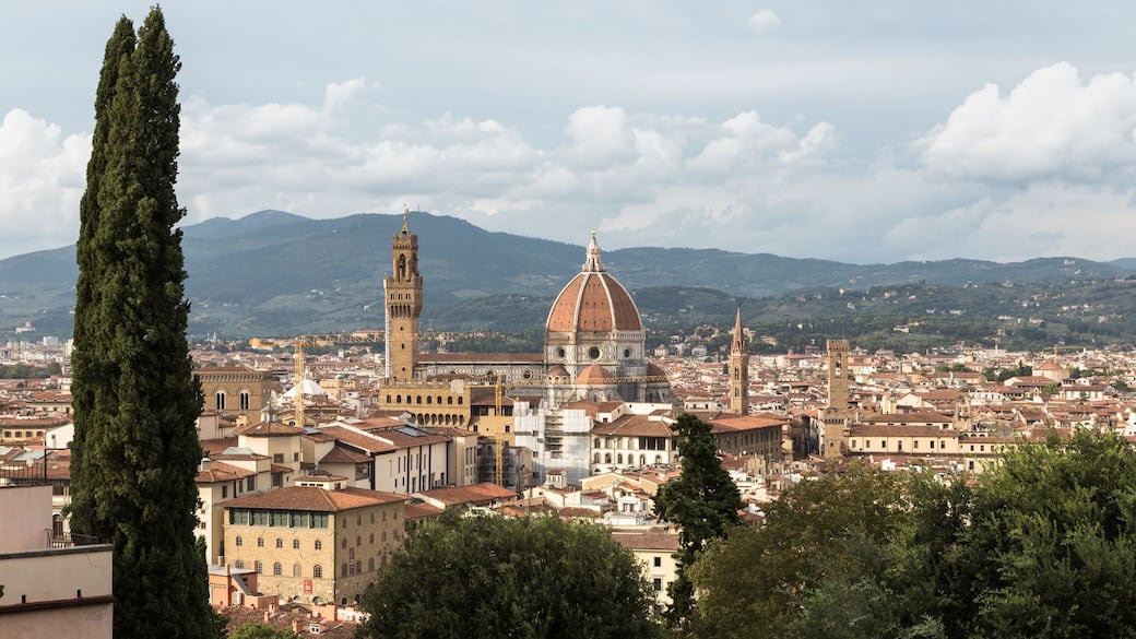 Fialto_2022_Vista_da_Villa_Bardini_foto_di_Giovanni_Savi.jpg