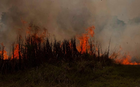 Caldo, rischio incendi e siccità: pronti piani anti rogo e ordinanze per risparmiare acqua Caldo, rischio incendi e siccità: pronti piani anti rogo e ordinanze per risparmiare acqua