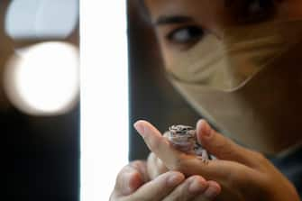 epa10861814 A visitor inspects a gecko for sale as exotic pets at T-REX Thailand Reptile Expo in Bangkok, Thailand, 15 September 2023. The T-REX Thailand Reptile Expo is a trade showcase exhibiting hundreds of reptiles and exotic animals breeders to sell the reptile as exotic pets for enthusiasts.  EPA/RUNGROJ YONGRIT