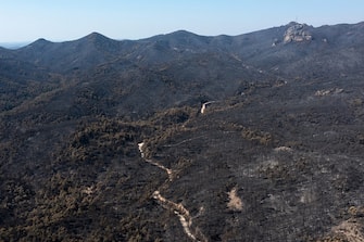 A path runs through a burnt forest area following a wildfire in the National Park of Dadia, Alexandroupolis, Greece, on Tuesday, Aug. 29, 2023. With more than 72,000 hectares burnt, the Alexandroupolis wildfire in Evros is the largest on record in the EU. Photographer: Konstantinos Tsakalidis/Bloomberg via Getty Images