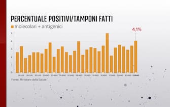 Covid, le grafiche con i dati del 23 agosto: la percentuale dei positivi