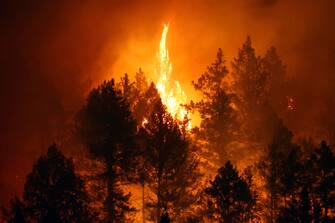 epaselect USA CALIFORNIA FIRE