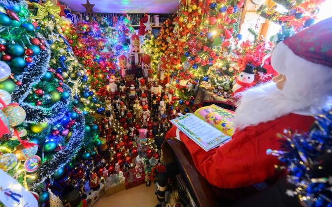 Germania, coppia addobba 555 alberi di Natale: è record del mondo