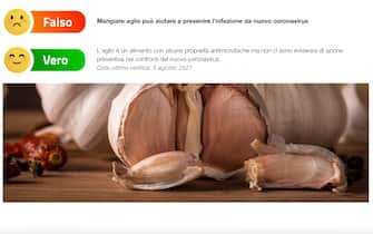 portale anti bufale